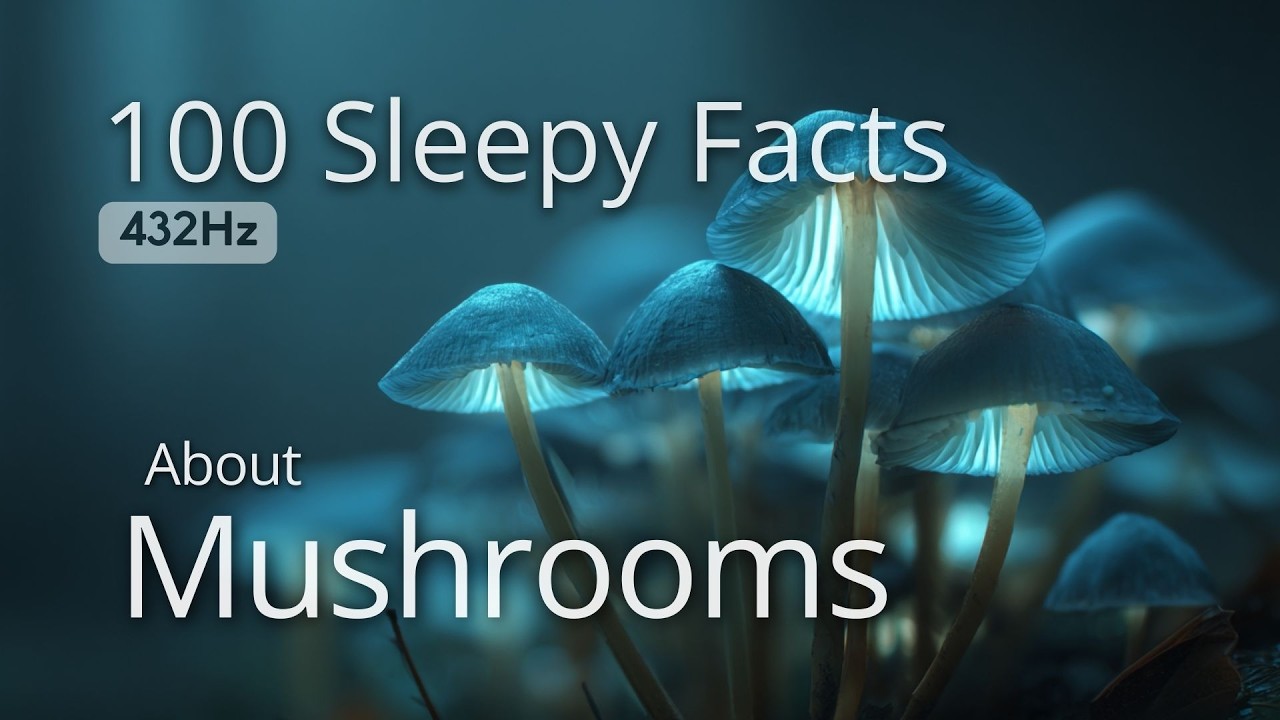 The Most Relaxing Facts About Mushrooms to Fall Asleep To