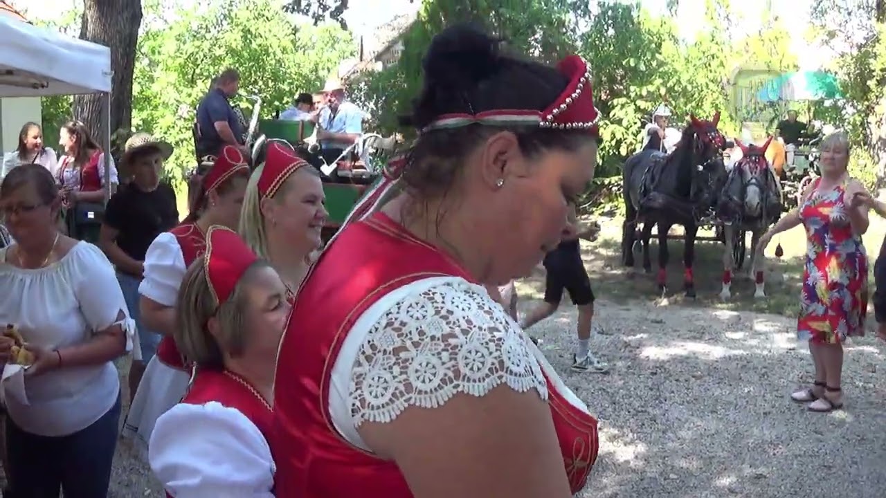 Szüreti Mulatság. Tompa. 2025.09.13.