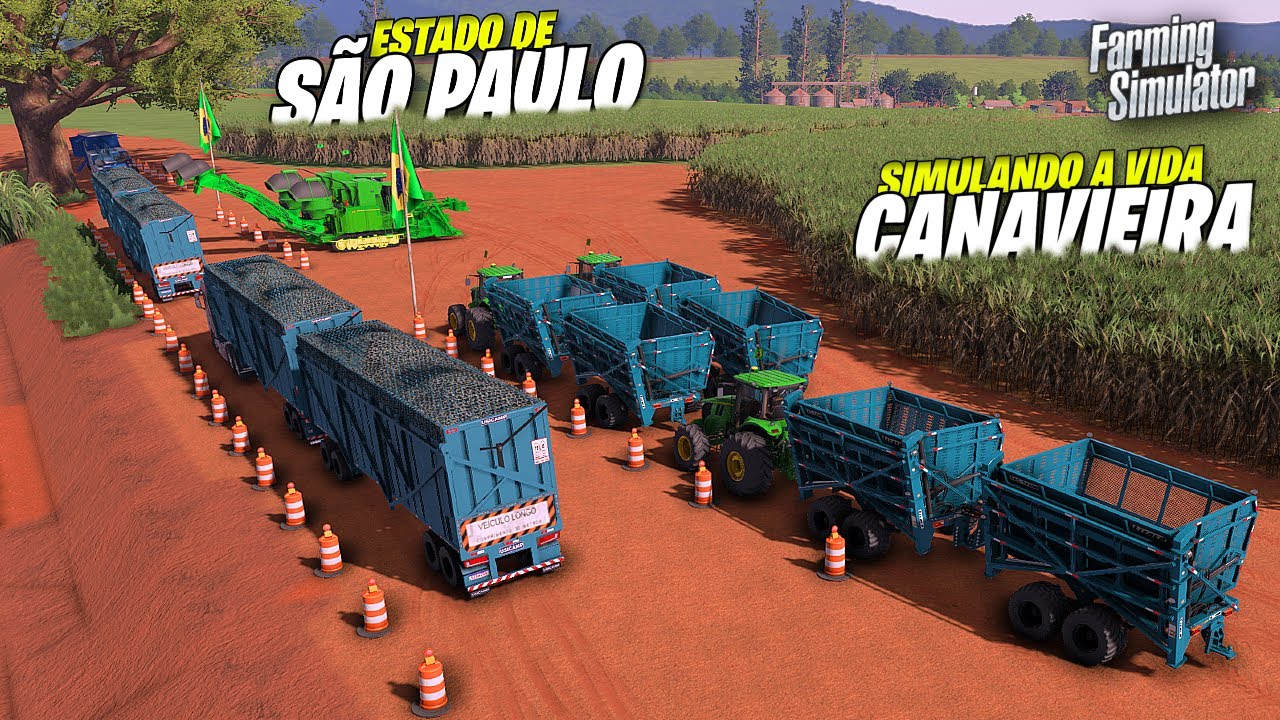 VIDA CANAVIEIRA NO ESTADO DE SÃO PAULO│MAPA SP-AGRO│Simulando Vida Real No Farming Simulator