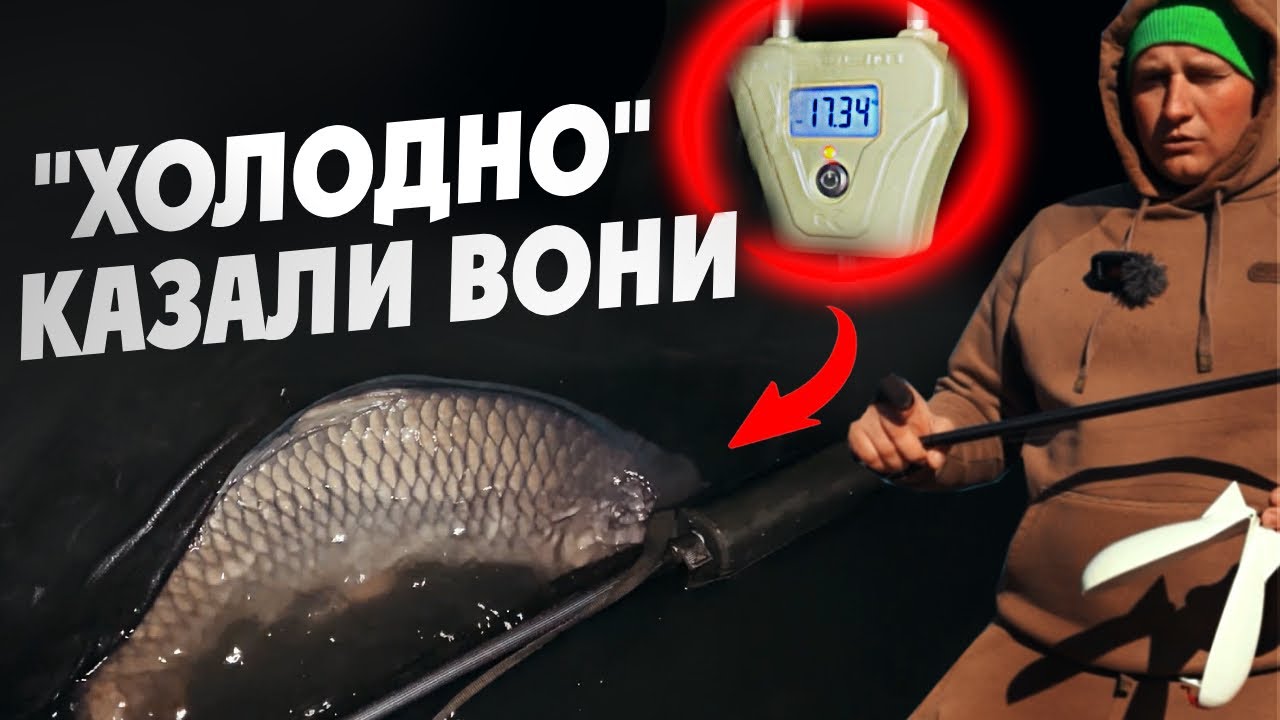 Температура від -3 до -5 — закриваємо сезон ловлі коропа.... А НІ, ЗАЧЕКАЙТЕ!   #ловлякоропа #короп