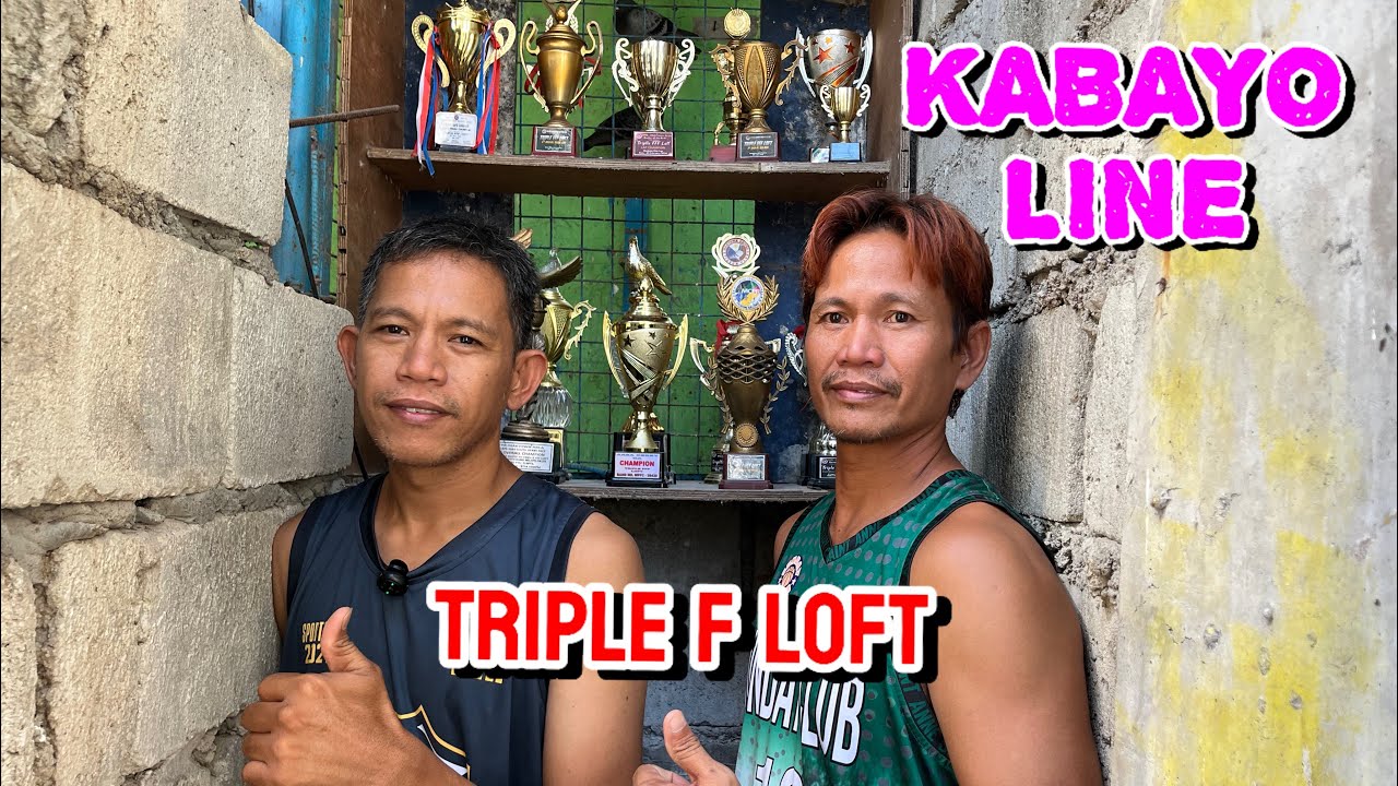 CONSISTENT WINNER NG NORTH DERBY RACE!   “KABAYO LINE”    Part 1