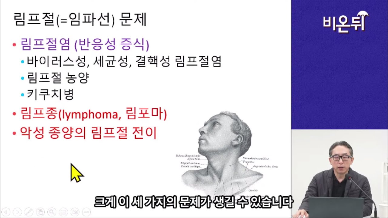 목멍울과 임파선; 임파선염, 임파선암, 전이암. 감별진단 방법과 초음파검사 소견_땡큐서울의원 이비인후과 하정훈 원장