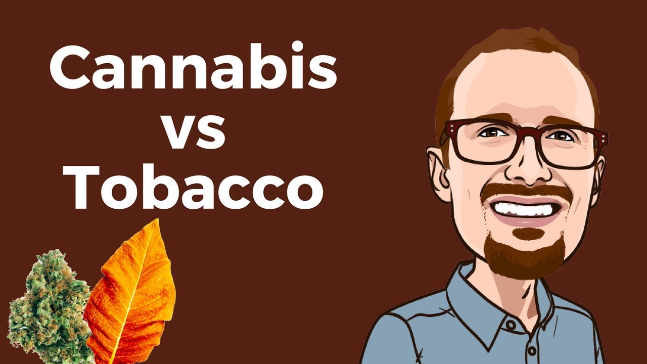 Cannabis vs Tobacco