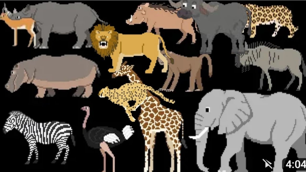 safari animals part 1 @TheKidsPictureShow