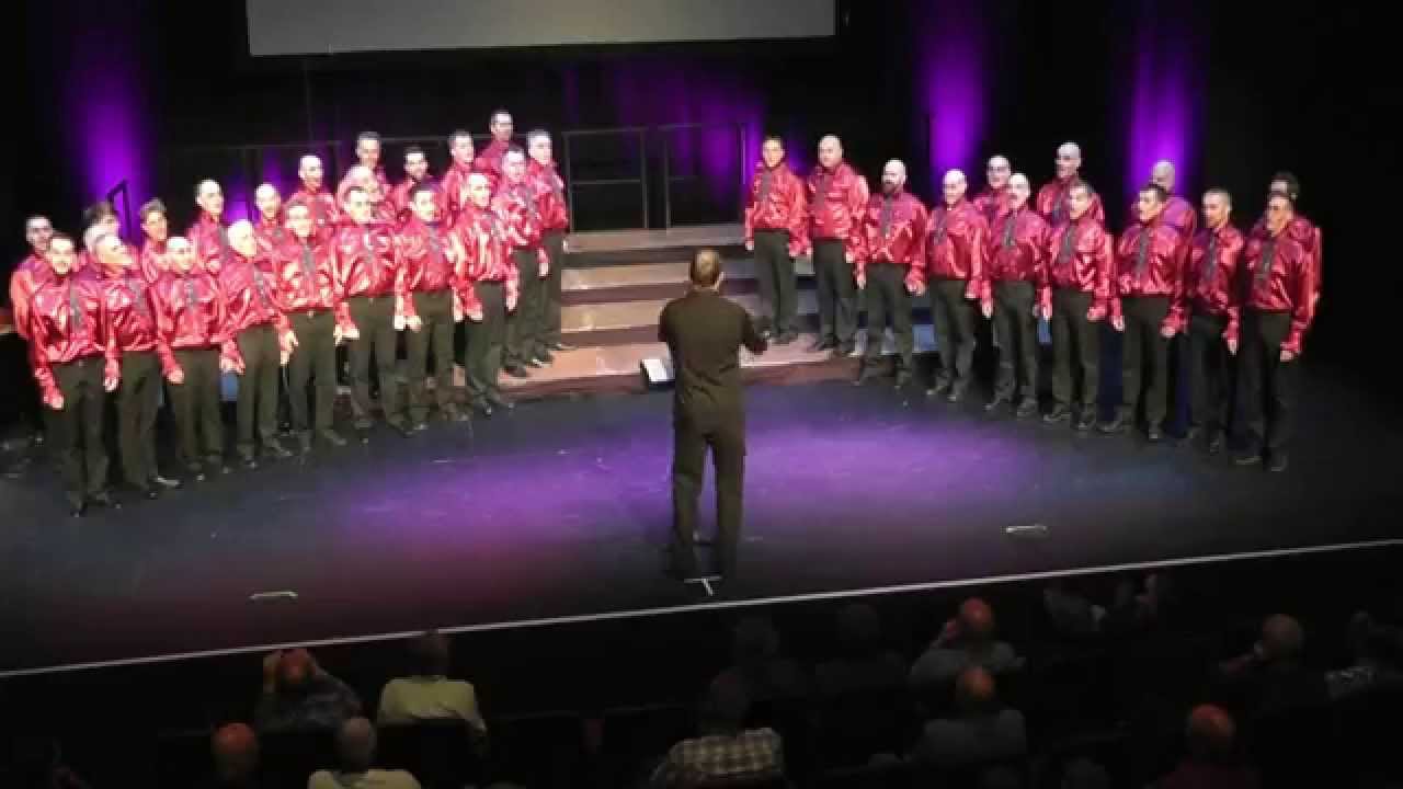 Schola Cantorosa at Various Voices 2014 Dublin