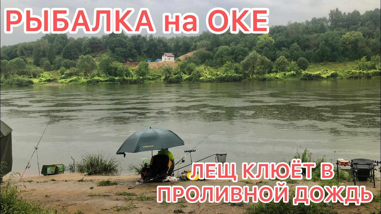 РЫБАЛКА на ОКЕ / ЛЕЩ КЛЮЁТ и ОЧЕНЬ БОЙКИЙ в ПРОЛИВНОЙ ДОЖДЬ
