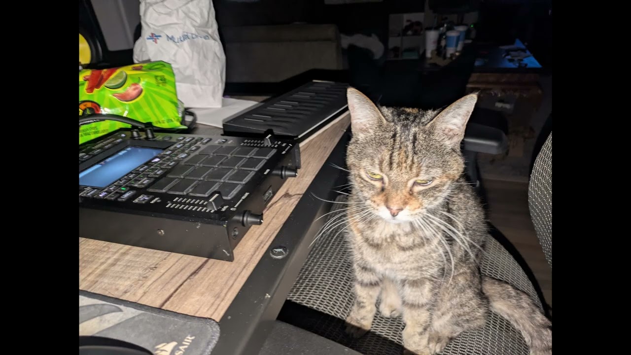 co producer is not happy