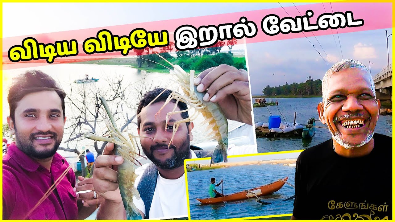 கிழக்கில் இறால் வேட்டை ஆரம்பம்| Prawn hunting starting on eastern| #lankboys #tamilvlog #2024  #fyp