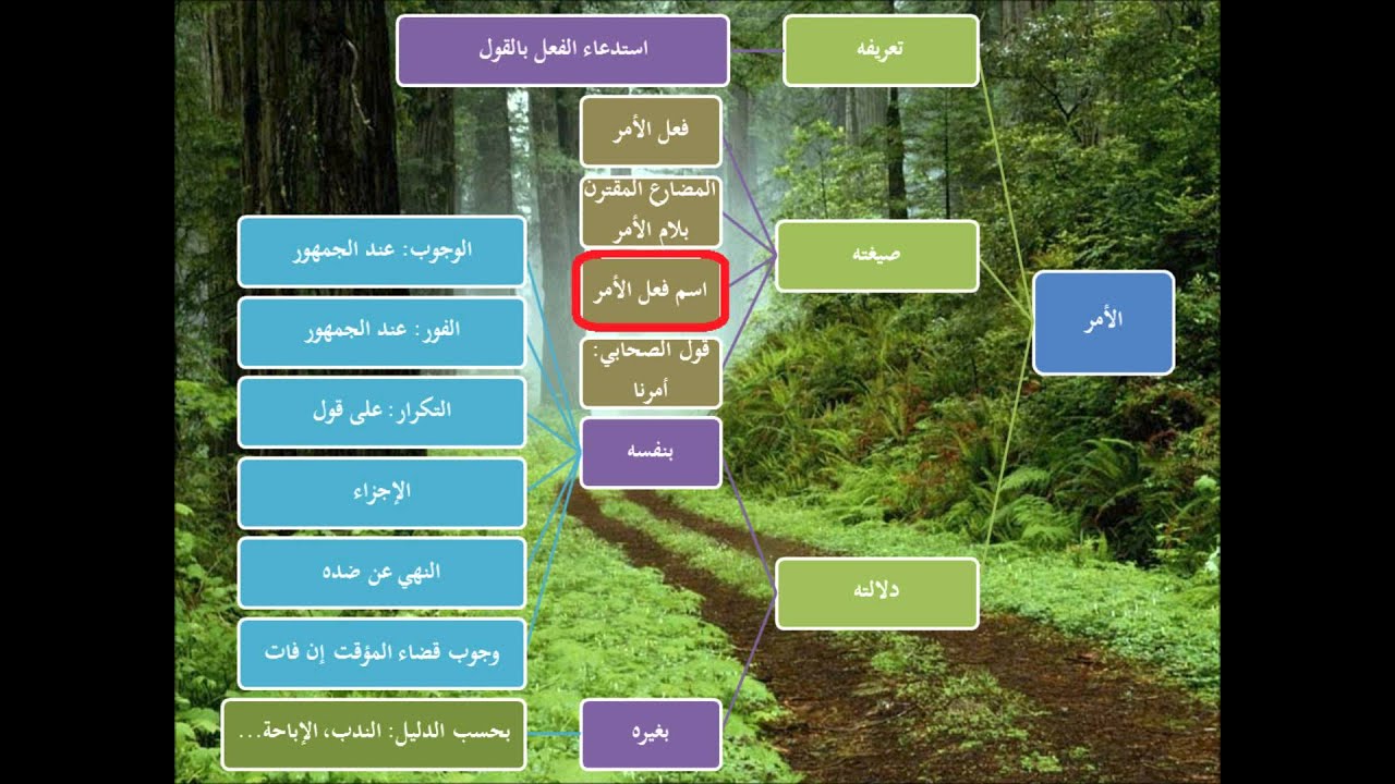 الطريق إلى علم أصول الفقه14 - الأمر- عامر بهجت