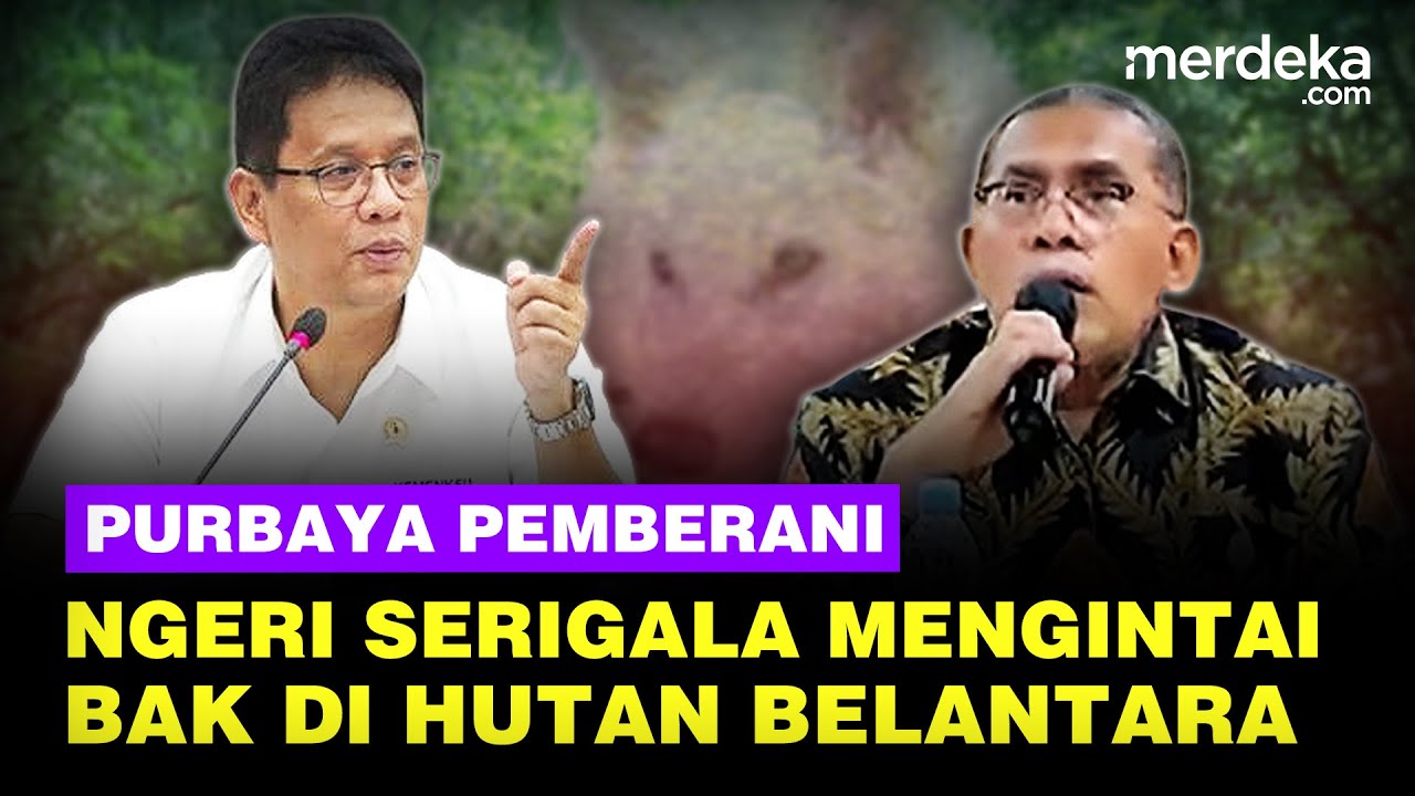 Salut Purbaya 'Koboi' Pemberani, Waspada Serigala Mengintai Bak di Hutan Belantara