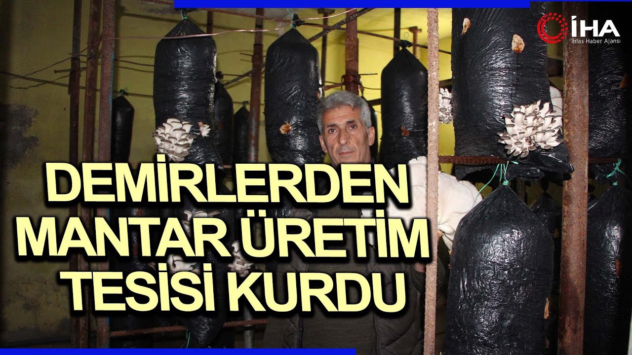 Hurda Demirlerden Mantar Üretim Tesisi Kurdu