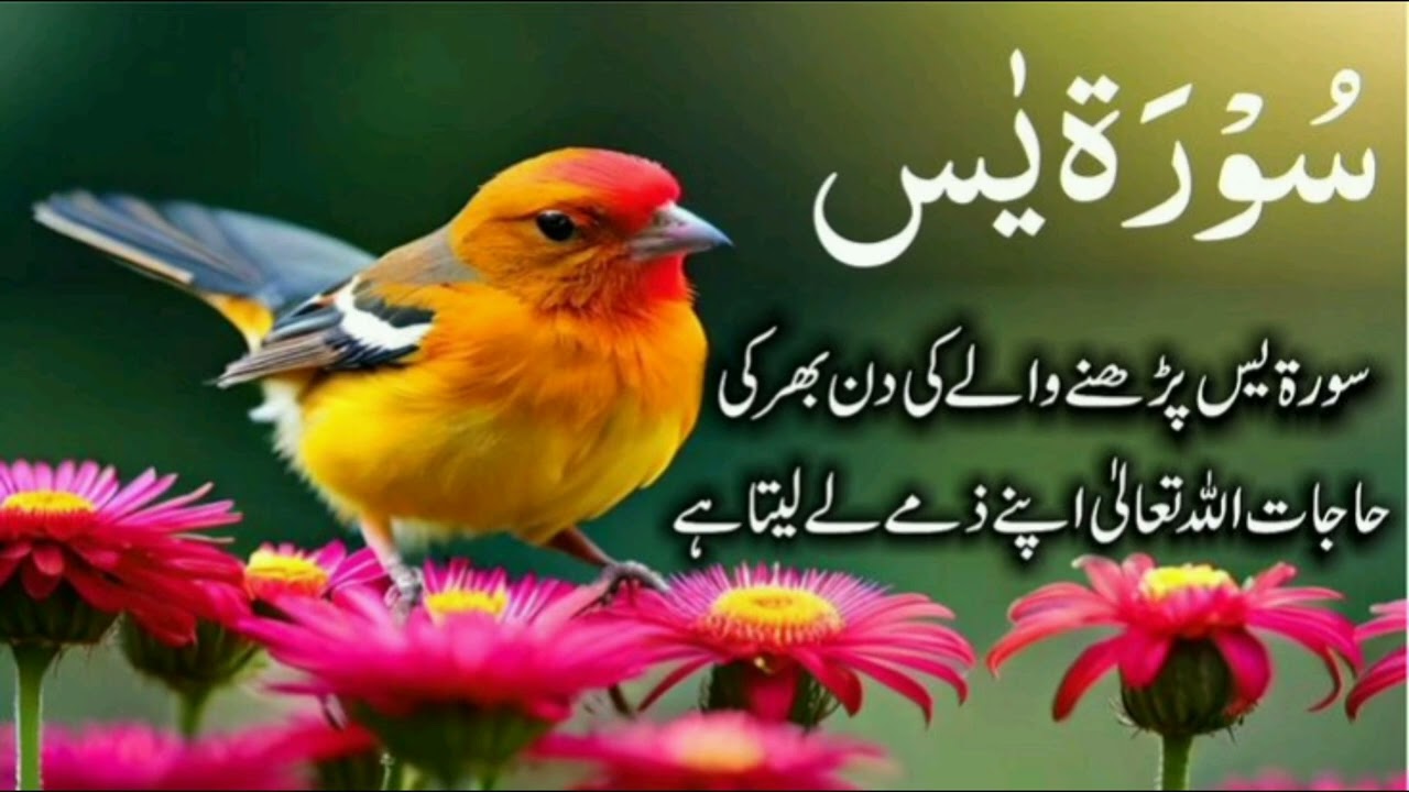 Surah yaseen