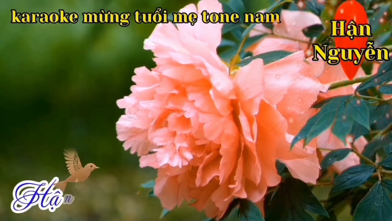 Karaoke mừng tuổi mẹ tone nam sáng tác Trần Long Ẩn. @karaokeHanNguyen