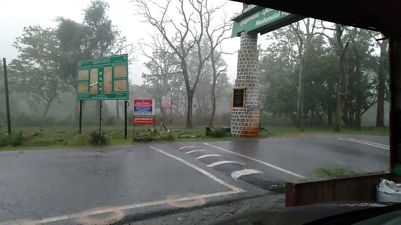 mudhumali tigers reserve for rain 14/05/2021