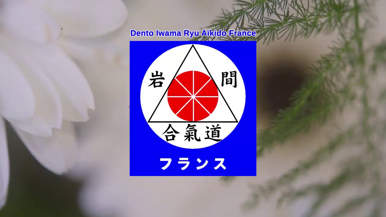 Stage international Dento Iwama Ryu Aïkido France avec SAITO Hitohira sensei - Novembre 2019