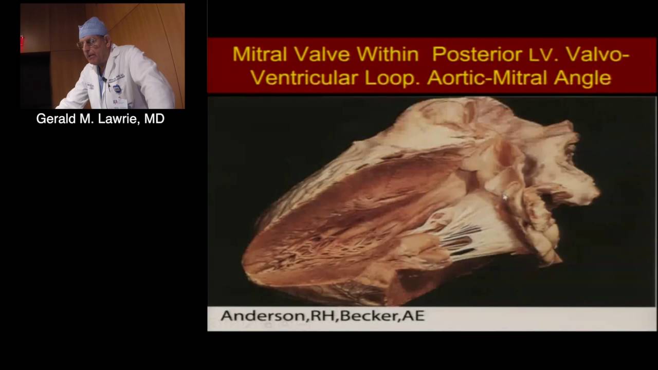 Advances in Our Understanding of Mitral Valve Structure & Function (Gerald M. Lawrie, MD) 5/12/16