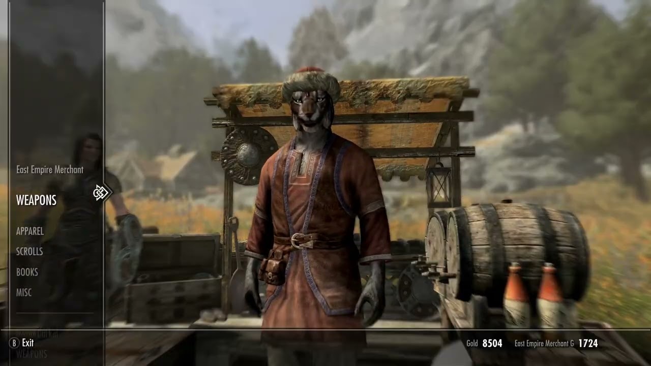 Skyrim w/ ADHD Challenge run (Credit to the youtube channel Nerbit for the idea) #4