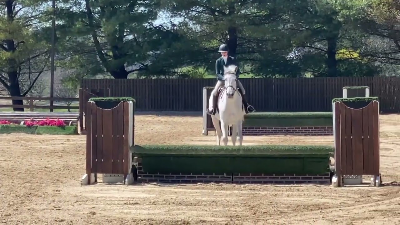 Kylie Martin | Prolific | 3ft Eq | Mcdonogh
