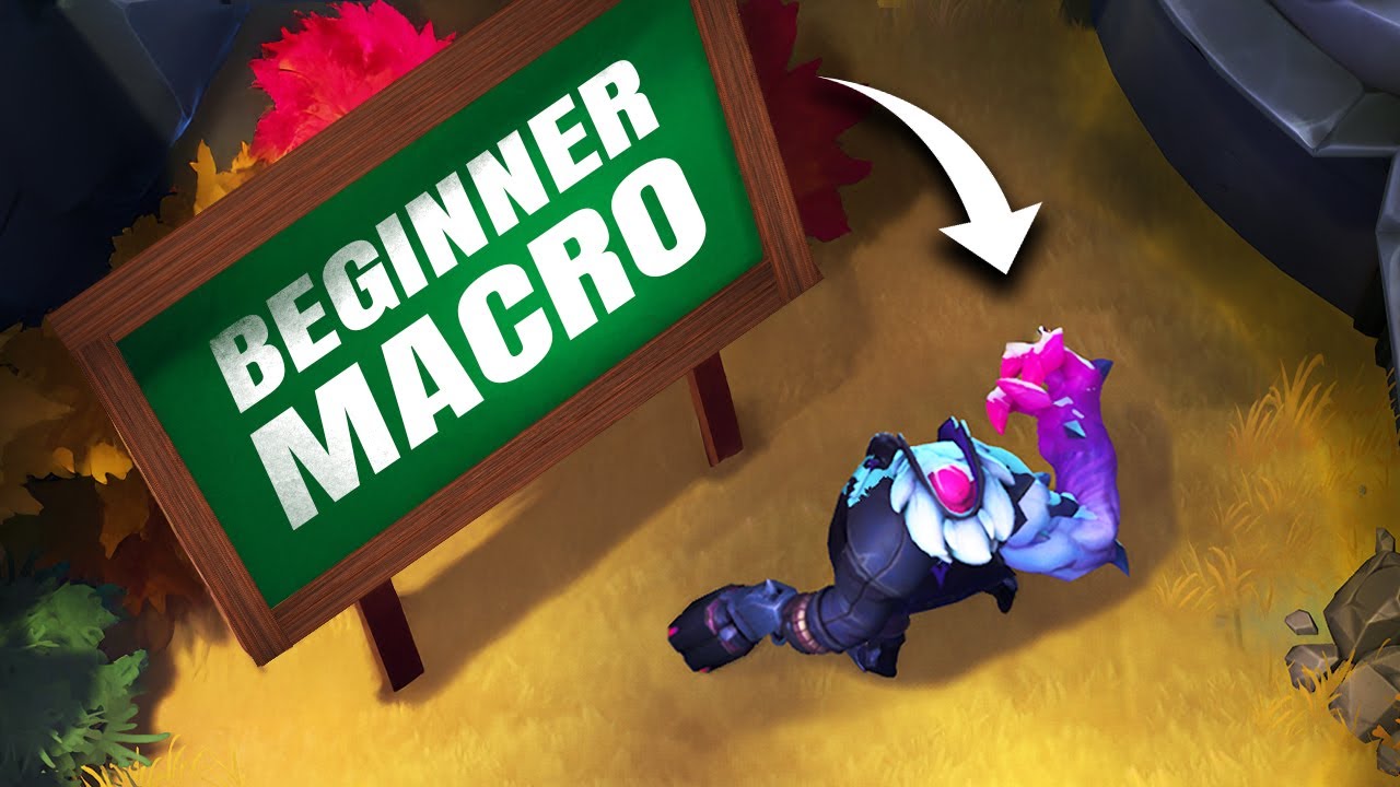 Beginner Guide To Supervive Macro! What Do I Do, When And How?