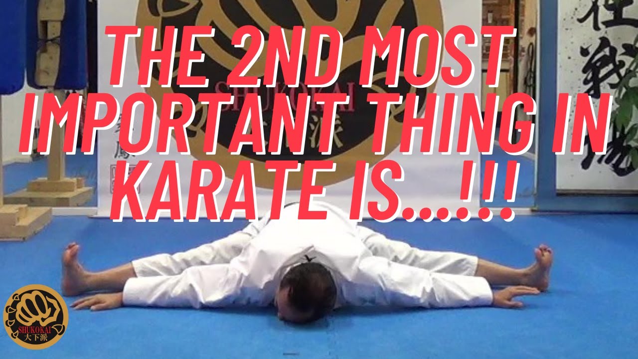 Japanese Karate Grand Master 10th Dan introduces importance of Stretching before practice.