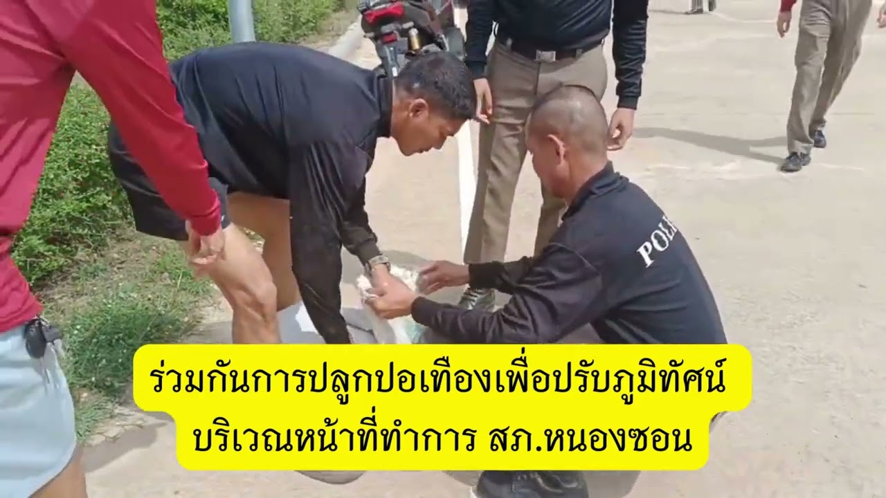 สภ.หนองซอน ร่วมกันการปลูกปอเทืองเพื่อปรับภูมิทัศน์ บริเวณหน้าที่ทำการ