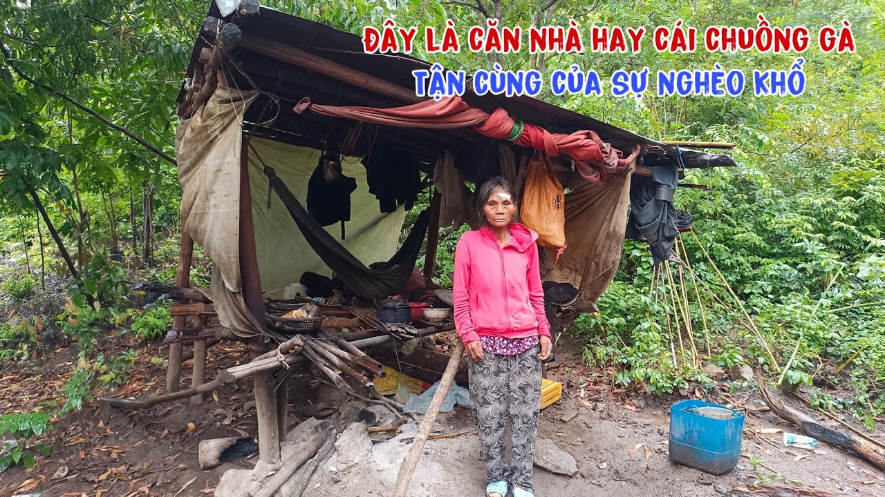 Rớt nước mắt, khi nhìn thấy hoàn cảnh của người phụ nữ sống trong ngôi nhà rách nát te tua - tập 523