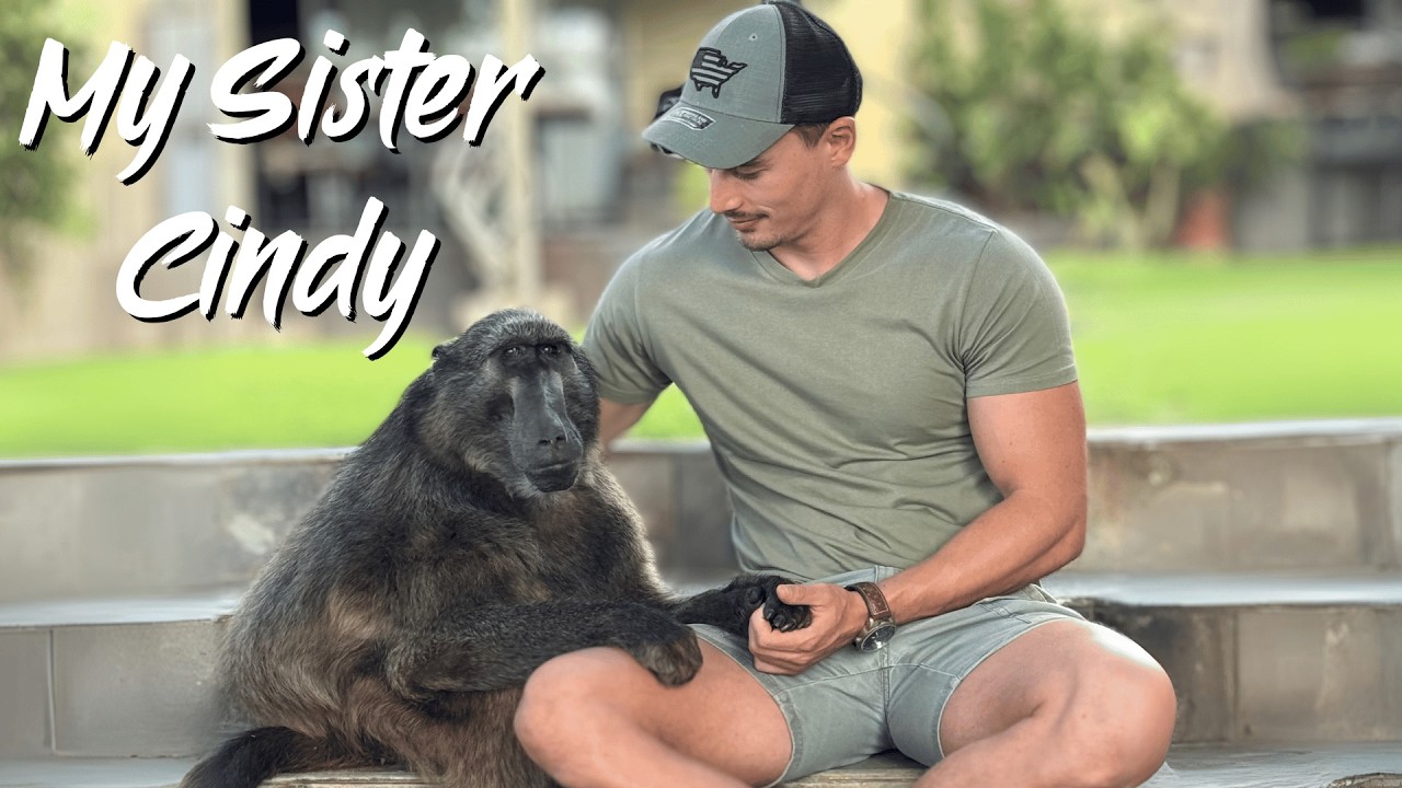 Отвечаю на вопросы о моей сестре-бабуине