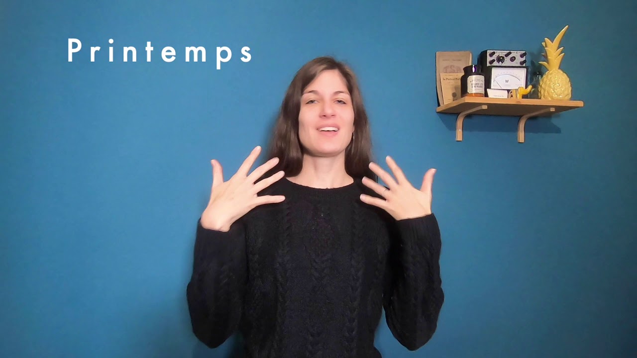 Les 4 saisons en langue des signes française (LSF) : hiver, printemps, été et automne.