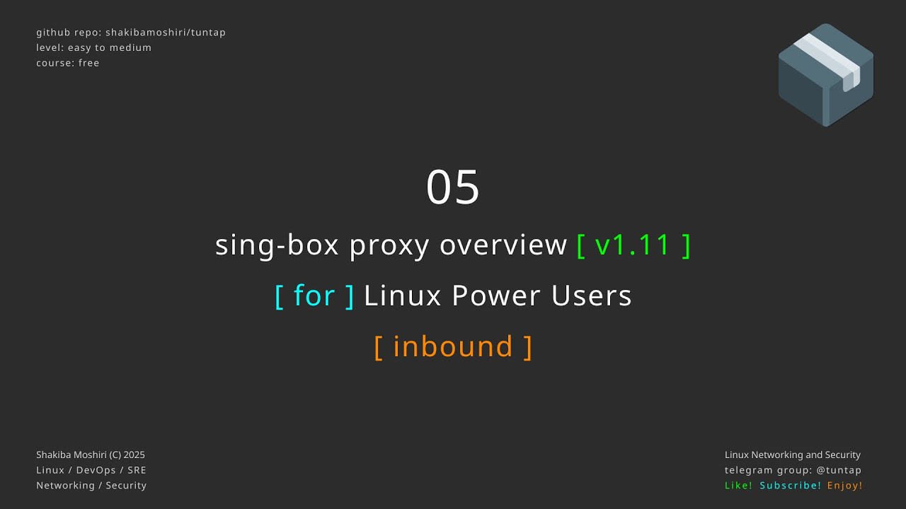 05 Обзор прокси-сервера Sing-box - входящий объект