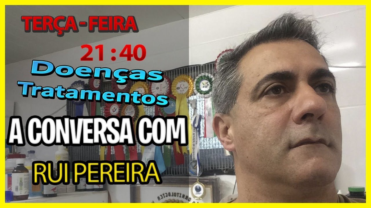 A conversa com - Rui Pereira - Criador de Canários - Tratamentos de Doenças - Portugal