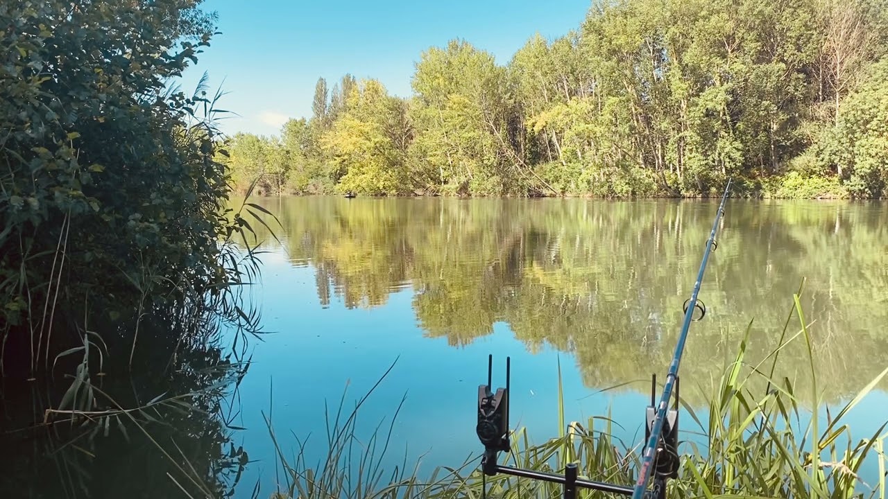 Carpfishing SBS TACTICAL BAITS #carpfishing #ebro #carp #banklife #realbigcatch #carp #boilies