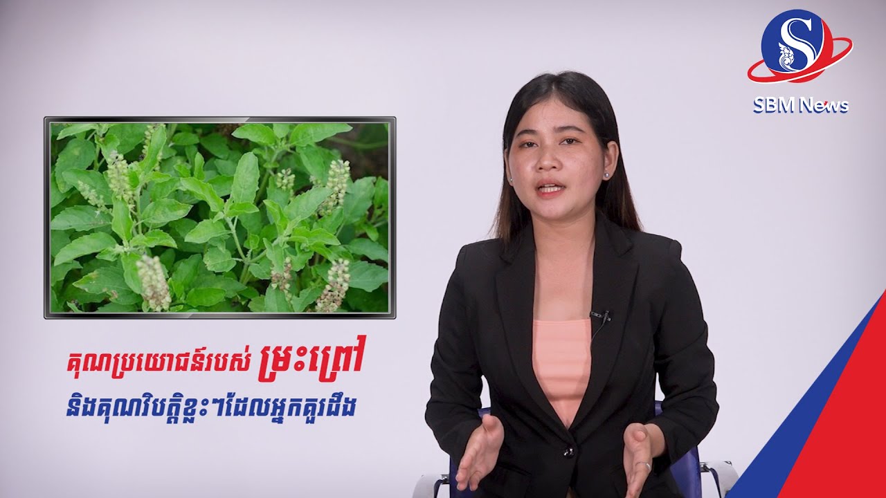 កំពូលអត្ថប្រយោជន៍សុខភាពរបស់ម្រះព្រៅ និងគុណវិបត្តិខ្លះៗដែលអ្នកគួរដឹង