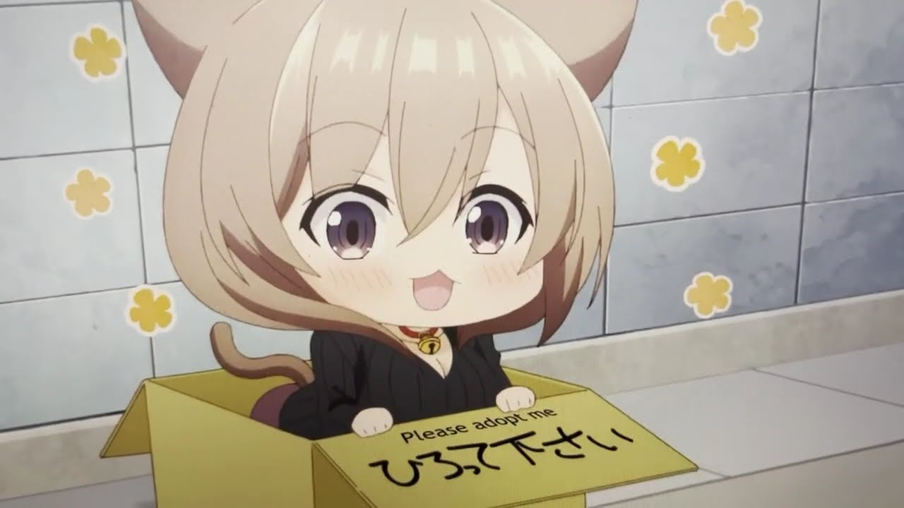 My tiny senpai funny dub