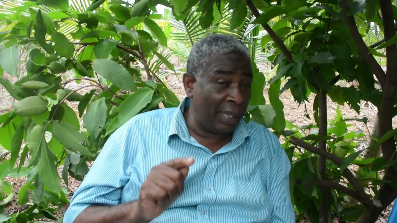 WILAYA YA  KUSINI NA KILIMO CHA MAWENI