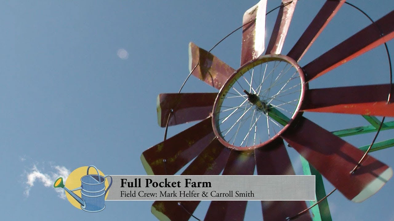 How Full Pocket Farm Helps People With Special Needs Learn Skills on the Farm