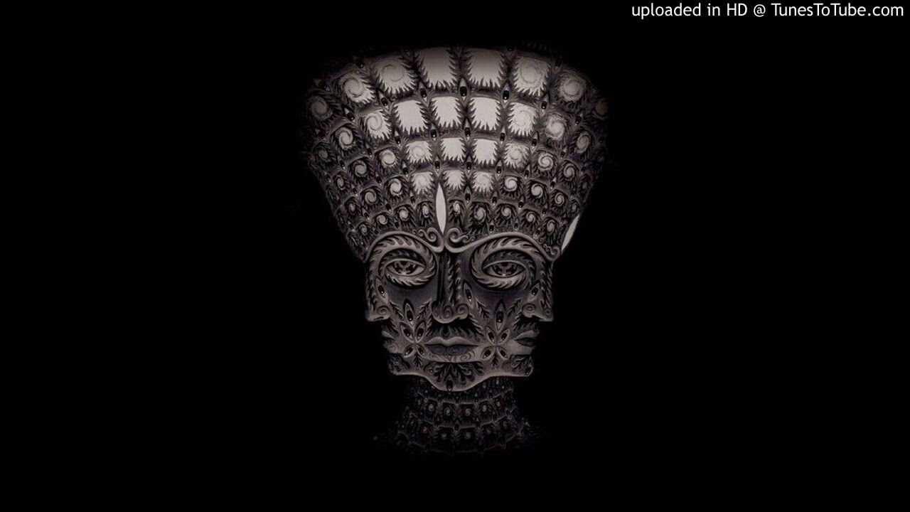 Ned Bundy - Суки