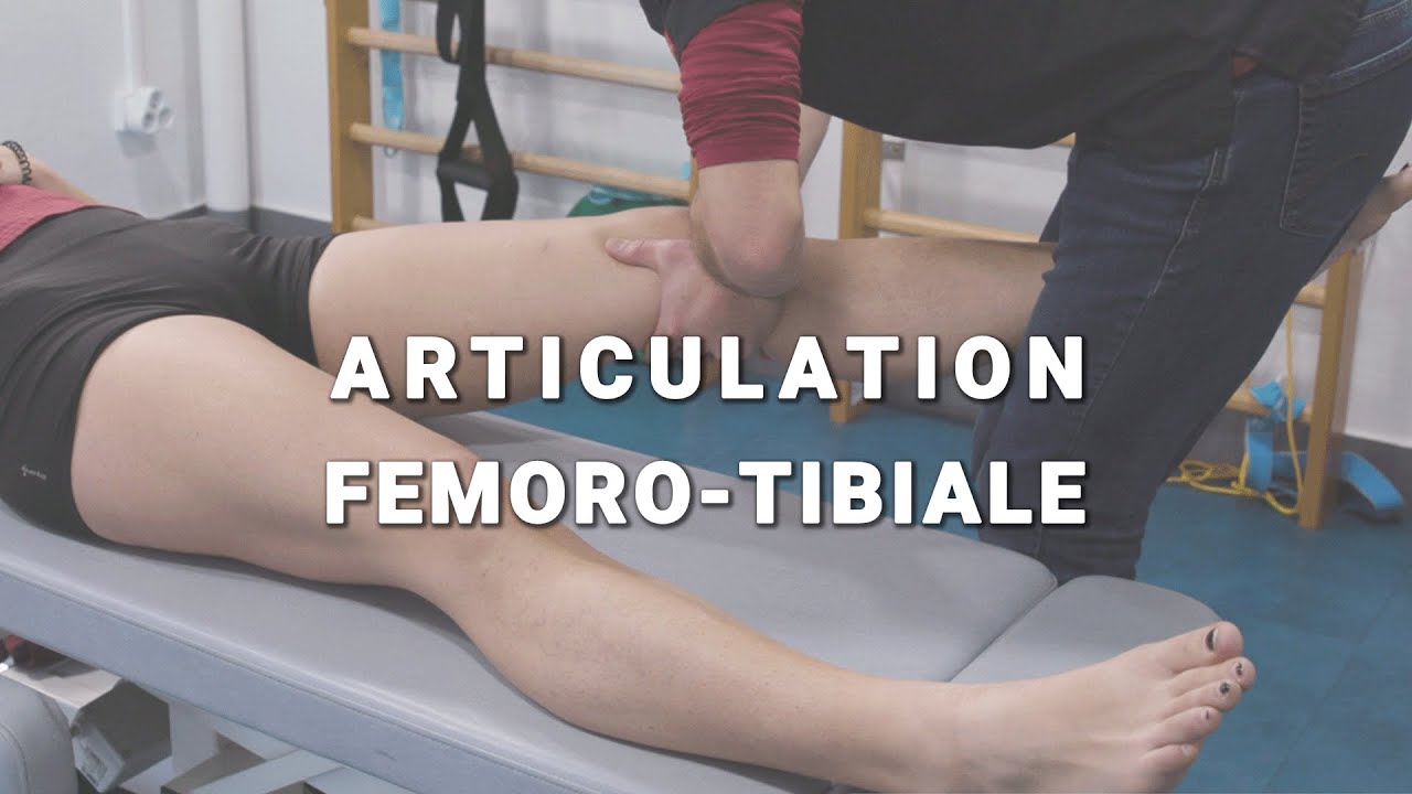 Articulation femoro-tibiale - Vidéo 03