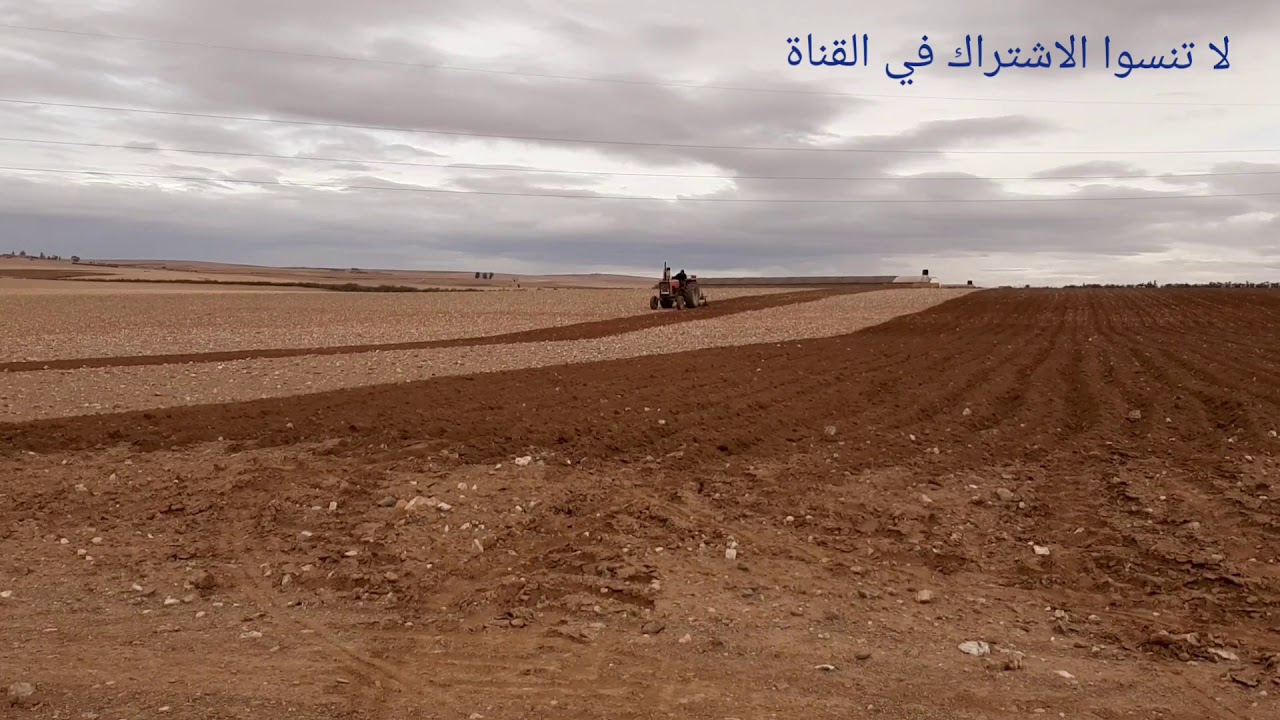 EBRO 470 35 ans de travail الاستعداد لموسم الحرث 2020   EBRO 470 35 años de trabajo