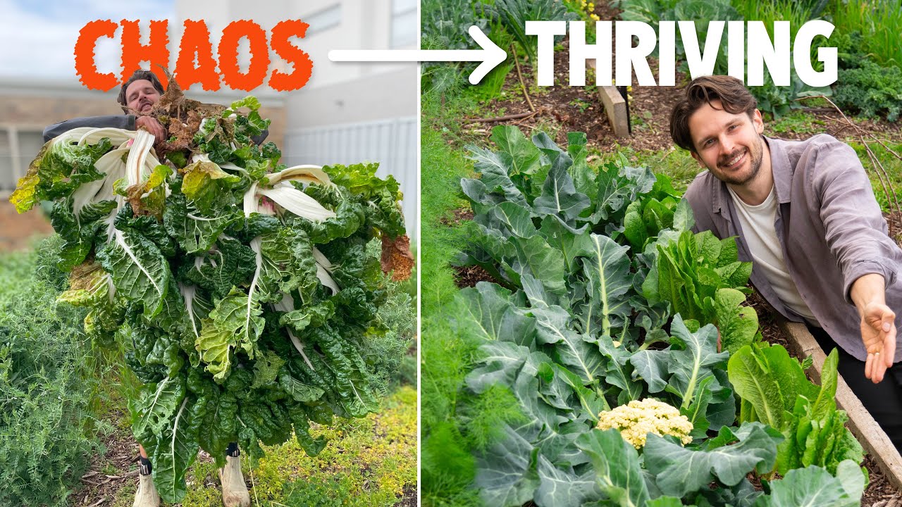 How Doing LESS Transformed My Food Garden & Saved My Sanity