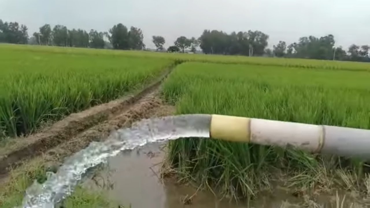 4 HP 4