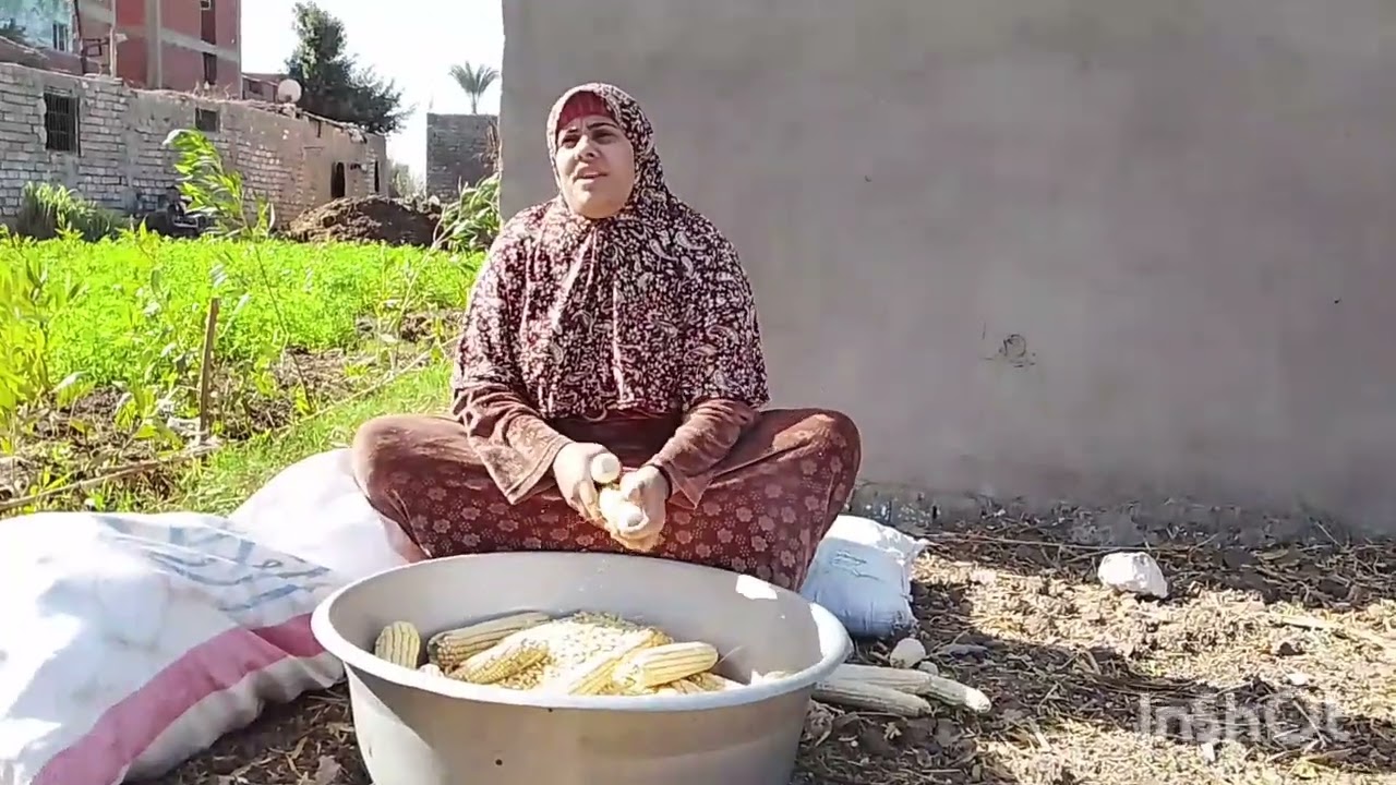 الشاطره ما بيهمها هاش حد مع ام وعد