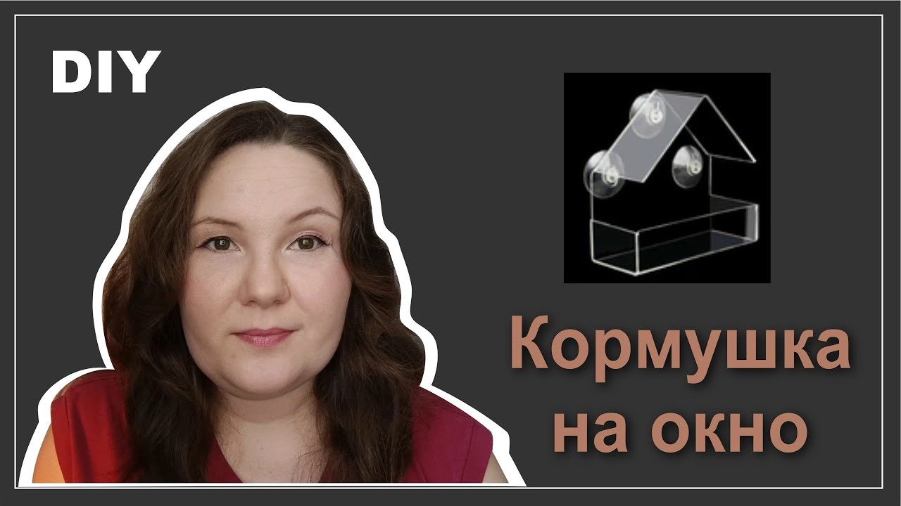 Прозрачная кормушка из контейнера фикспрайс