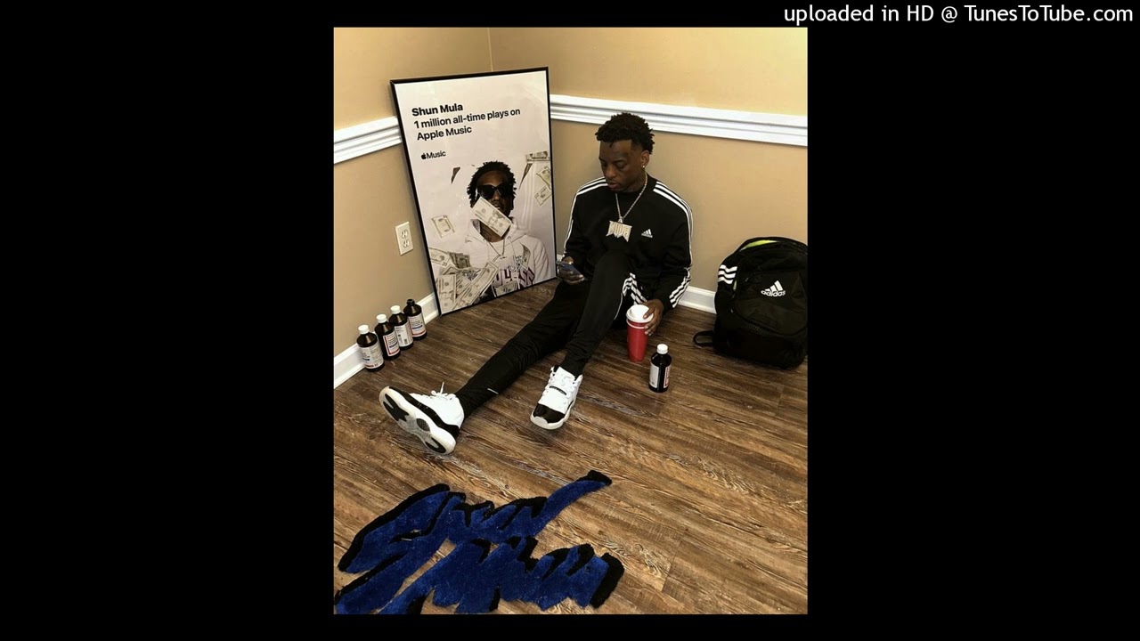 shun mula - based off how im feeling prod. tenfo