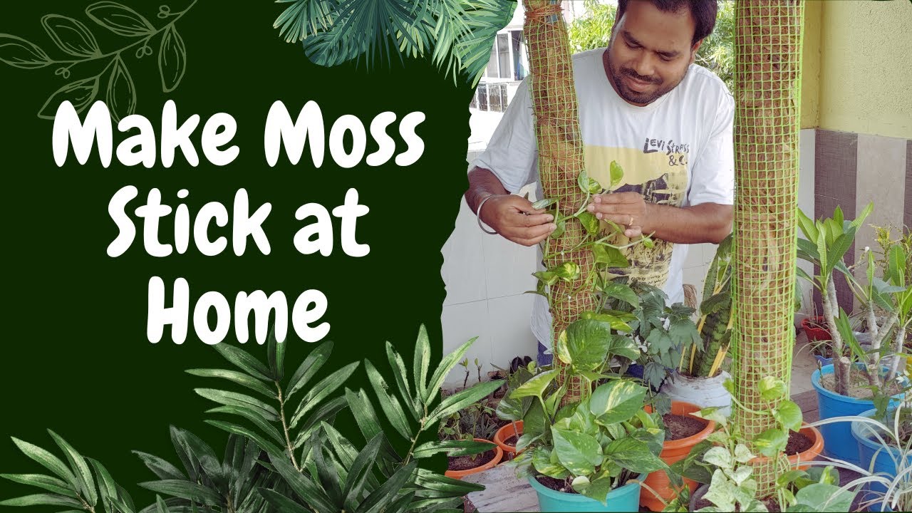Make Moss Stick at Home | घर पर मॉस स्टिक बनाएं | DIY Moss Stick