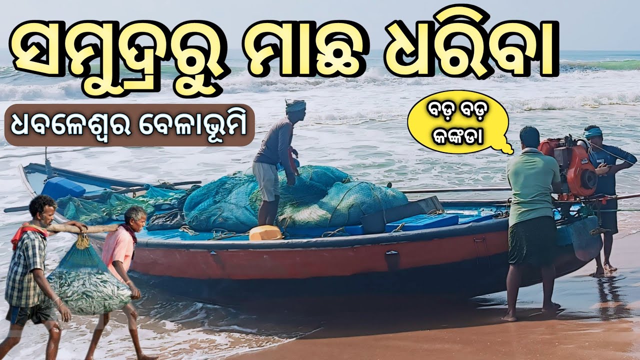 ସମୁଦ୍ରରୁ ମାଛ ଧରିବା l Fishing From The Sea