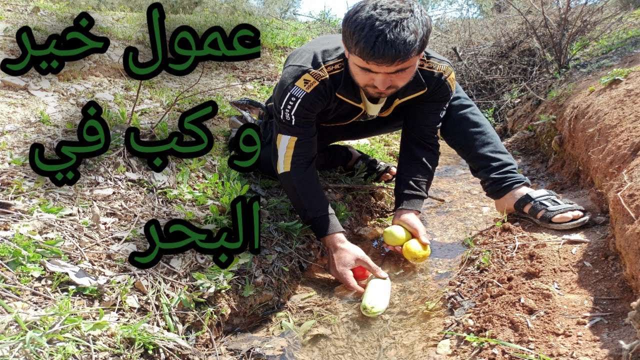 سلسلة الأب الحكيم و الابن الغشيم | الحلقة 8 | تابعوا للأخير 😄