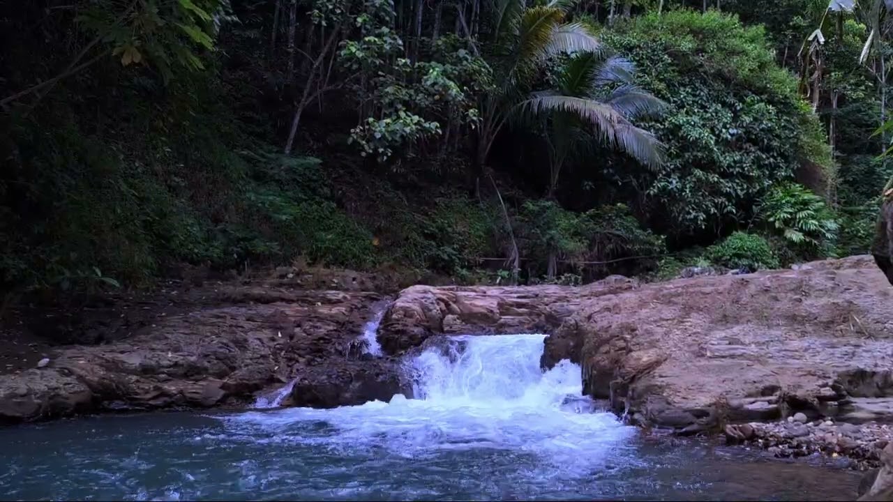 Calm Flowing River Sounds for Sleep | ASMR Water White Noise #gemuruhriver