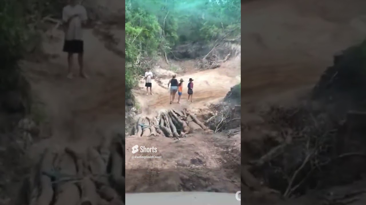 Cypress Log Bridge   Old Telegraph Track   Cape York