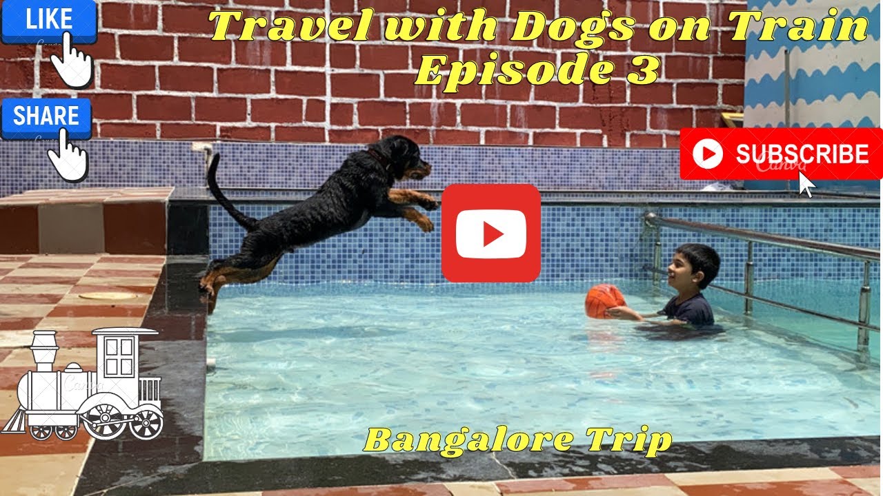 How to travel with pets on Train || Episode 3 || Pet Home Boarding