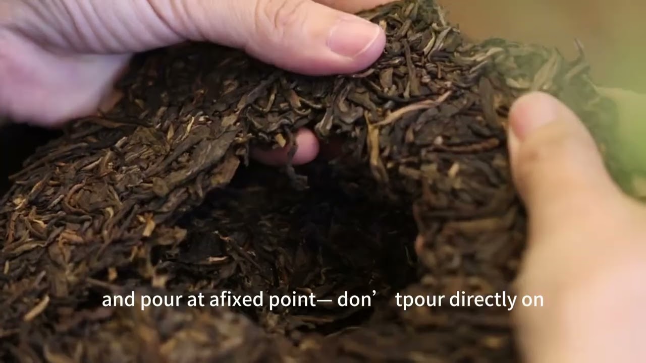 What exactly do we drink in Pu-erh tea? 